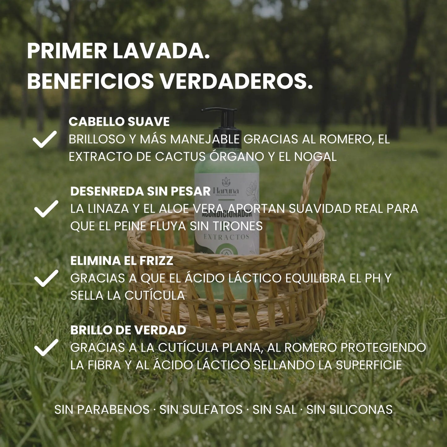 Acondicionador 10 Extractos | Suaviza, Desenreda y Elimina el Frizz