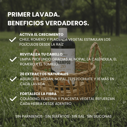 Shampoo 20 Extractos | Detiene la Caída y Activa el Crecimiento