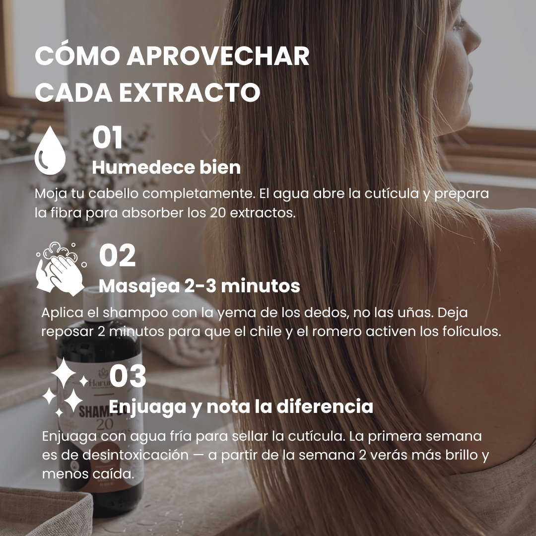 Shampoo 20 Extractos | Detiene la Caída y Activa el Crecimiento
