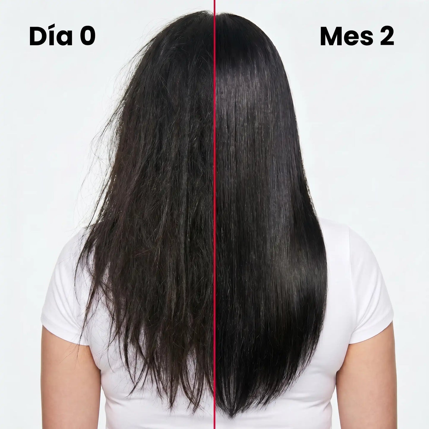 Kit Esencial | Detiene la Caída y Controla el Frizz