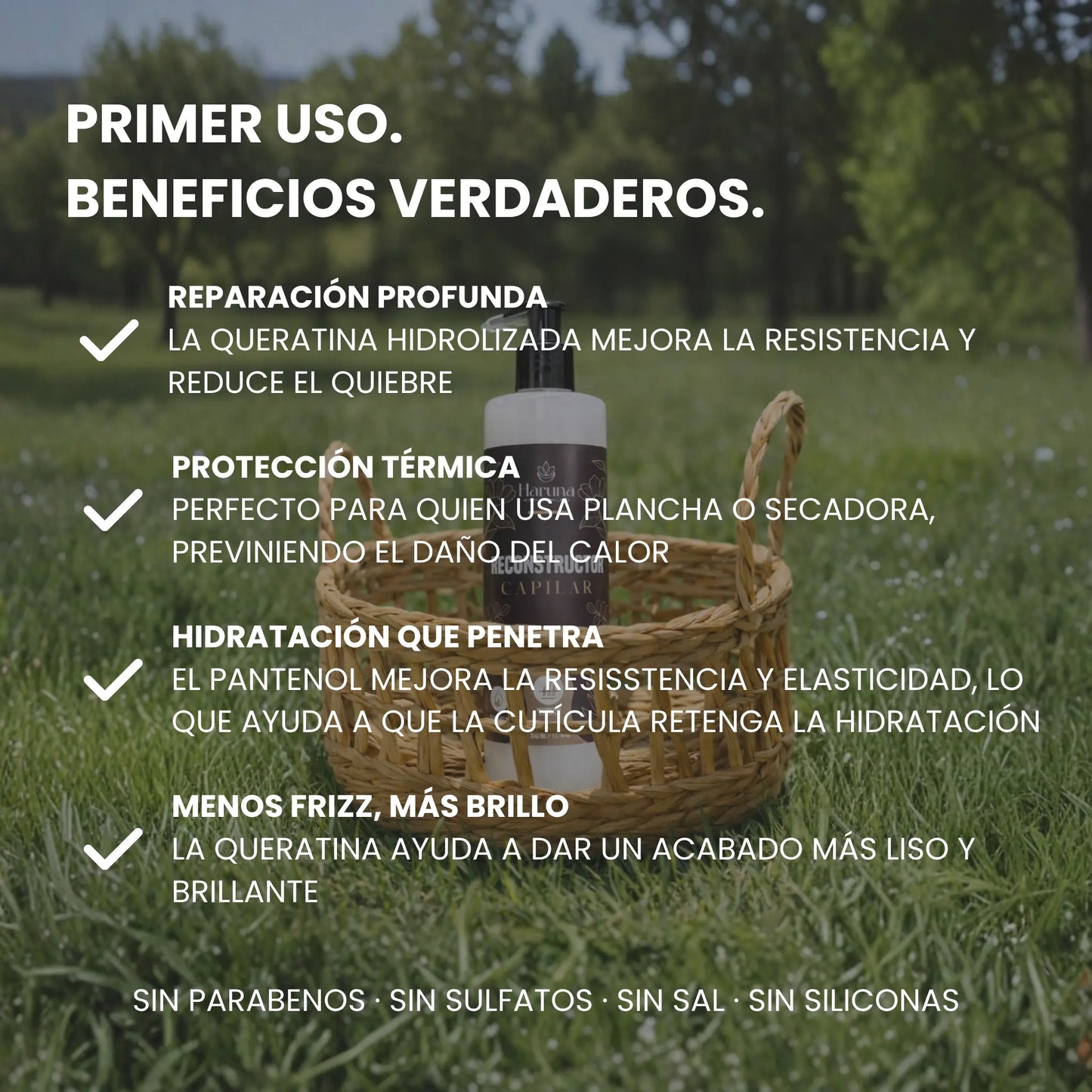Reconstructor Capilar | Repara el Daño y Protege del Calor