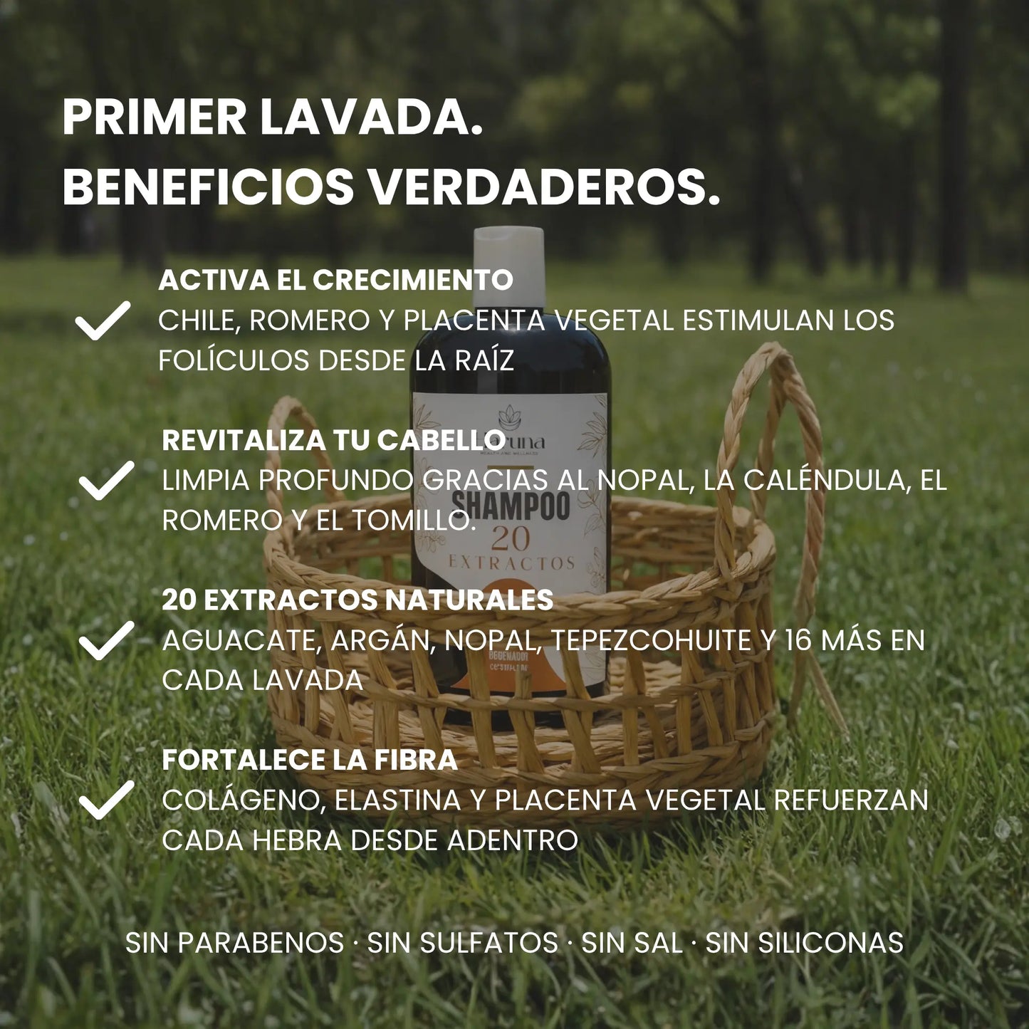 Shampoo 20 Extractos | Detiene la Caída y Activa el Crecimiento